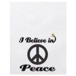 i believe in peace flyers