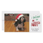 I Believe in Santa Paws photo cards
