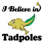 i believe in tadpoles photo sculptures