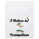 i believe in trampolines full color flyer