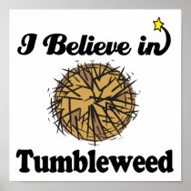 i believe in tumbleweed poster