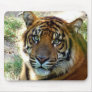 I Believe_ Mousepad_by Elenne Boothe