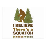 I believe there's a SQUATCH in these woods Postcard