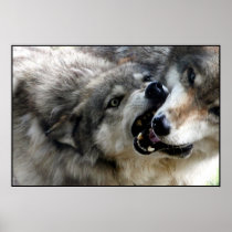 I BITE