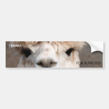 I BRAKE, FOR ALPACAS! BUMPER STICKER