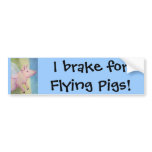 I brake for Flying Pigs! Bumper Sticker