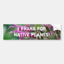 I brake for native plants - Bumper sticker