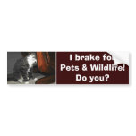 "I BRAKE FOR PETS" Cat Kitten Bumper Sticker bumper stickers