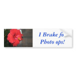 I Brake for Photo ops! bumper stickers