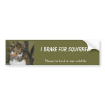 I Brake for Squirrels bumper stickers