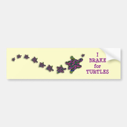 I Brake for Turtles Bumper Sticker