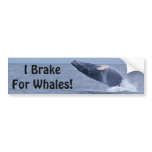 I Brake For Whales! Bumper Sticker bumper stickers