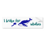I brake for whales bumper stickers