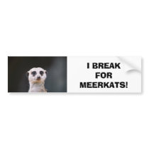 I Break for Meerkats! Bumper Sticker