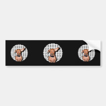 I Can Hear You Bumper Stickers