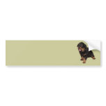 I Can See You bumper stickers