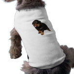 I Can See You pet clothing