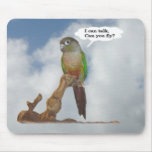 I can talk, Can you fly? mousepads