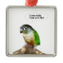I can talk, can you fly? ornament