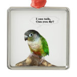 I can talk, can you fly? ornaments
