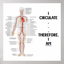 I Circulate ... Therefore, I Am (Circulation) Print