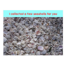 I collected a few seashells for... post cards