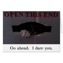 I dare you card