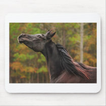 I dare you! mousepads