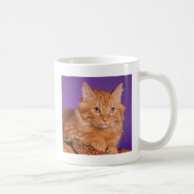 I didn't do it coffee mug