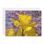 I DO! Save the Date Cards Spring Daffodil Flowers invitations