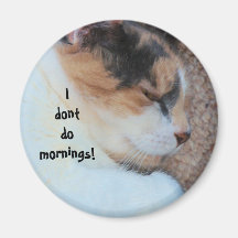 I dont do mornings! magnet