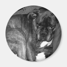 I don't do mornings refrigerator magnet