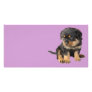 I Don't Need To Be Told I Am Cute Picture Card