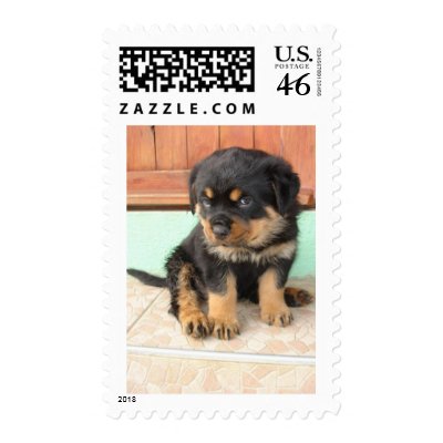 I Don't Need To Be Told I Am Cute Postage by taiche