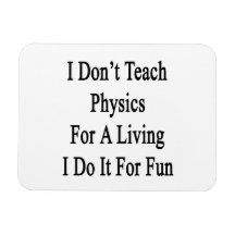 I Don't Teach Physics For A Living I Do It For Fun Vinyl Magnet