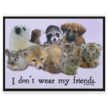 I Don't Wear My Friends flyers