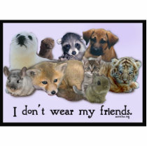 I Don't Wear My Friends