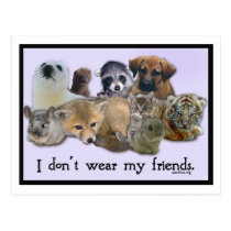I Don't Wear My Friends postcards