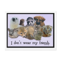 I Don't Wear My Friends