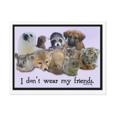 I Don't Wear My Friends Post Cards by ppprincess1