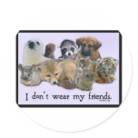 I DOn't Wear My Friends stickers