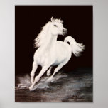 I Dreamed Him White Print
