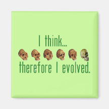 I Evolved Magnets