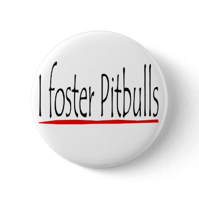 I foster pitbulls button by rescueadog