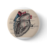 I give you my heart pinback button