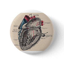 I give you my heart pinback button