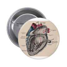 I give you my heart pinback button