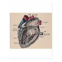 I give you my heart post cards