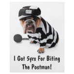 I Got 5yrs For Biting The Postman! - Flyer