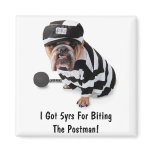 I Got 5yrs For Biting The Postman! - Magnet